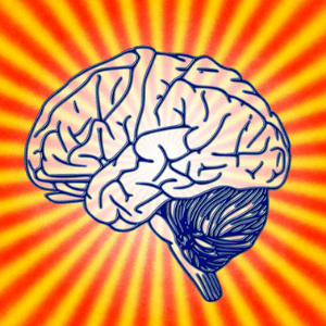 Brain Health-Brain the command center of your body